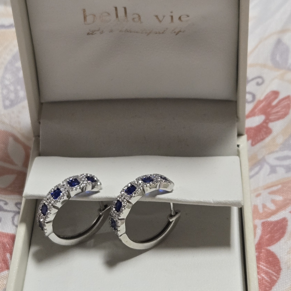 Silver and Blue Hoop Earrings